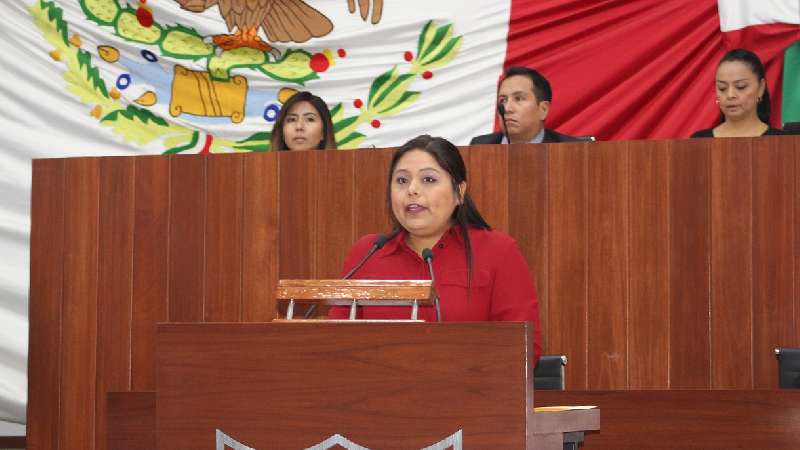 Propone Irma Garay sancionar hasta con 20 mil uma 