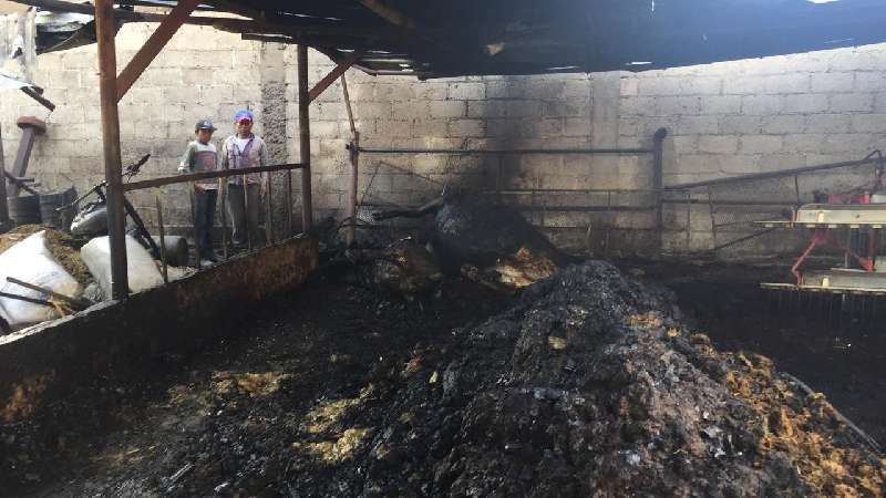 Ante incendio; Protección Civil de Zacatelco emite recomendacione