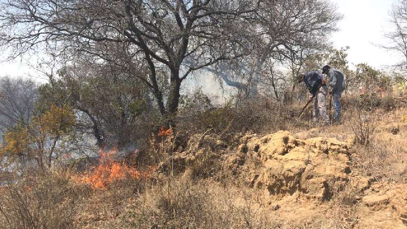 Se suman brigadistas de la capital a combatir incendio 