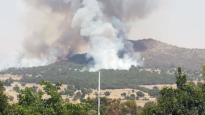 Una historia de éxito. Unión de esfuerzos logra acabar incendio