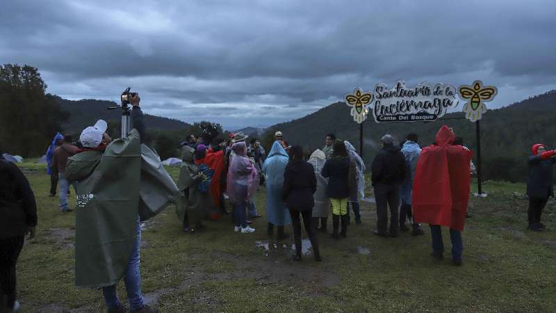 Emite Secture reglamento y recomendaciones para avistamiento