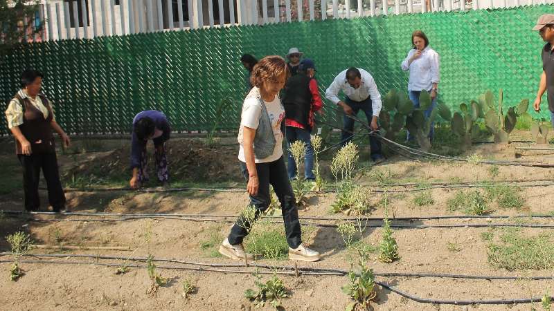 Promueve comuna capitalina taller de Huertos Urbanos