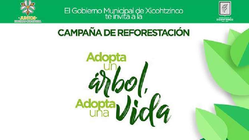 Campaña de reforestación en Xicohtzinco