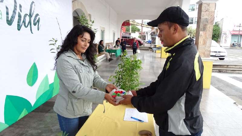 Supera expectativas campaña de reforestación en Xicohtzinco
