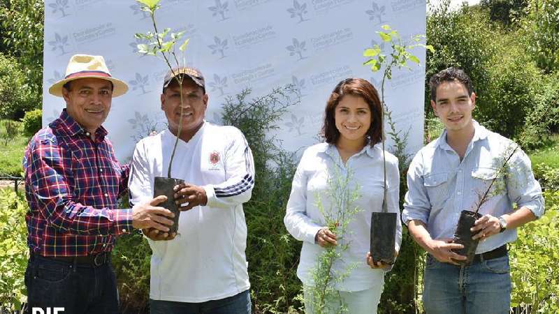 Alistan en Zacatelco, intensa jornada municipal de reforestación