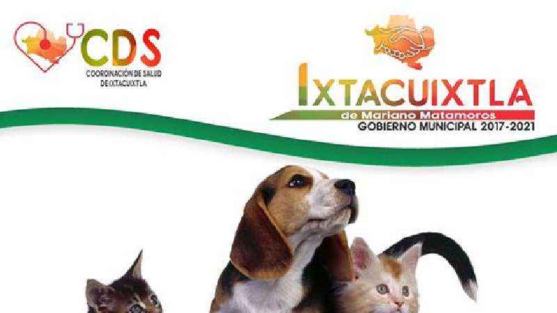 Campaña de esterilización en Ixtacuixtla