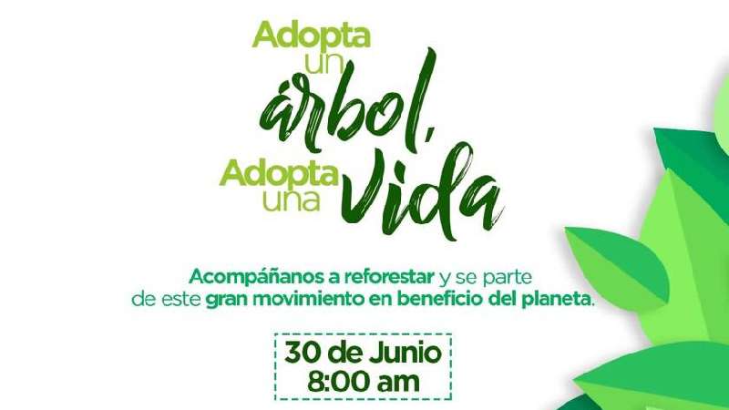 Adopta un árbol, adopta una vida en Xicohtzinco