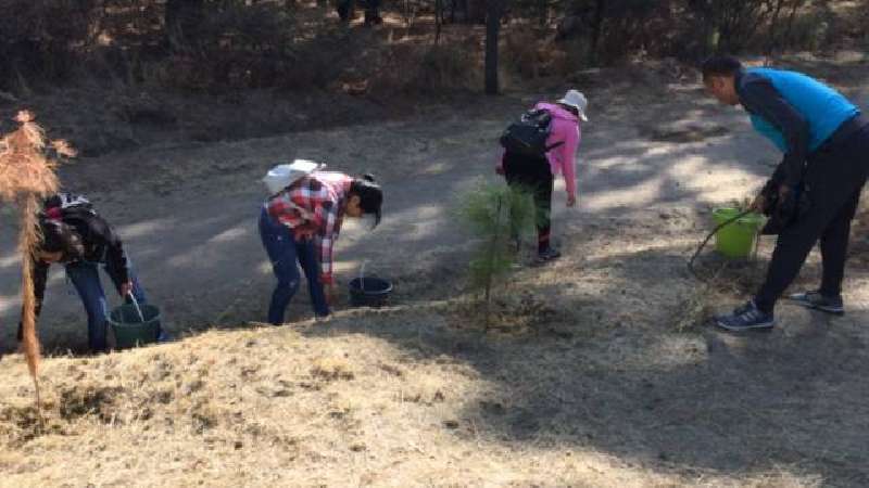 Se organizan ciudadanos para reforestar La Ocotera