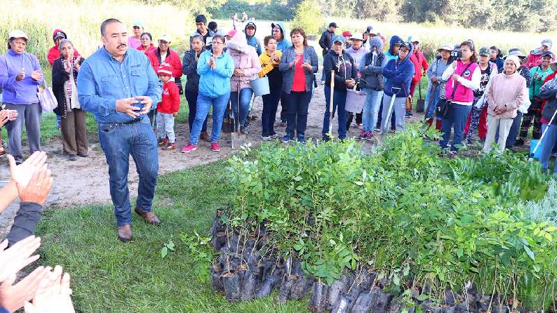 Con reforestación, reactivan en Xicohtzinco zona ecológica 