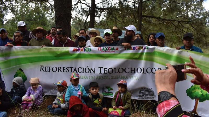 Siembra Teolocholco  2 mil árboles en La Malintzi