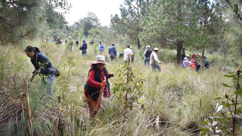 Sino cuidamos la Malinche los tlaxcaltecas, nadie lo hará: CGE