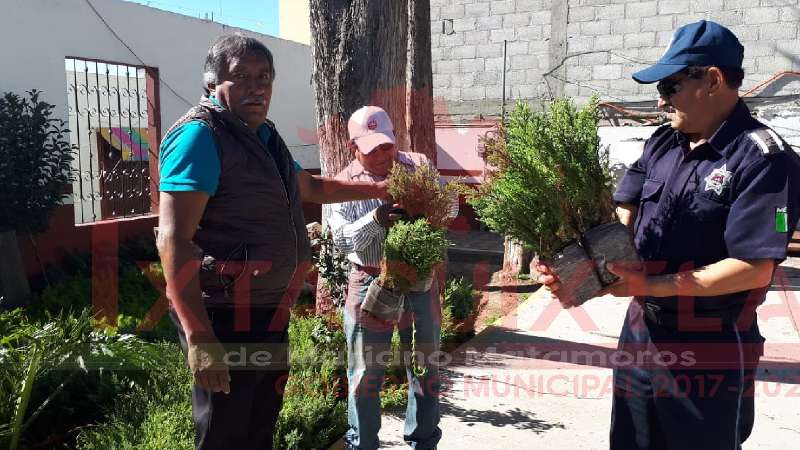 Entregan mil 800 árboles para reforestar Ixtacuixtla