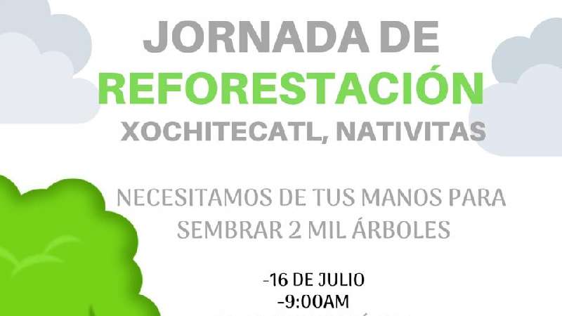 Jornada de reforestación en Xochitecatl