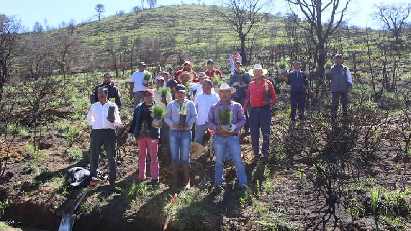 En Tocatlán sigue reforestación de El cerro del Quimicho