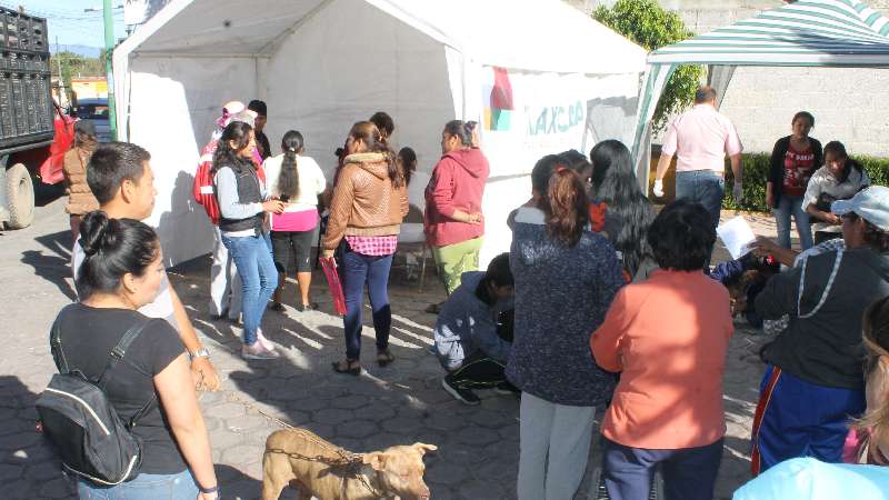 Llevarán Campaña de Esterilización canina y felina a Tizatlán