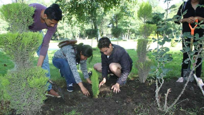 Plantarán 6 mil árboles en Zacatelco