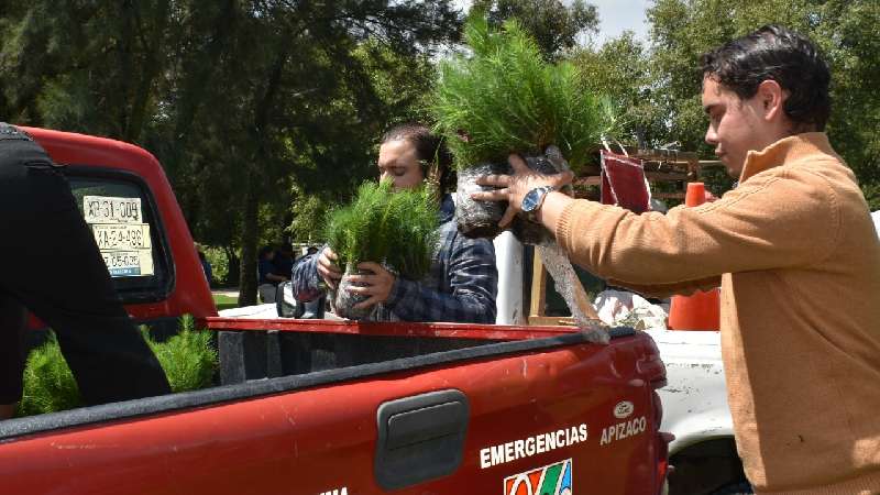 Entrega Tomás Orea más de 3 mil Árboles en Zacatelco