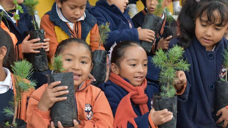 Inicia el programa adopta un árbol en Zacatelco