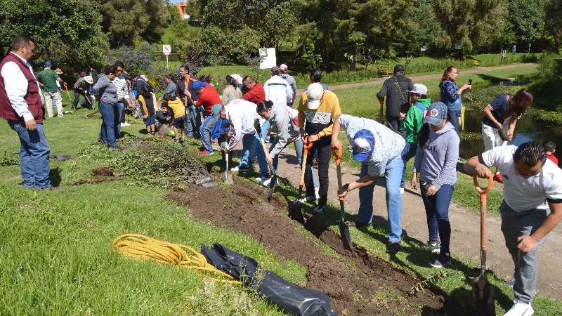 Participan más de 10 mil voluntarios en programa de reforestación