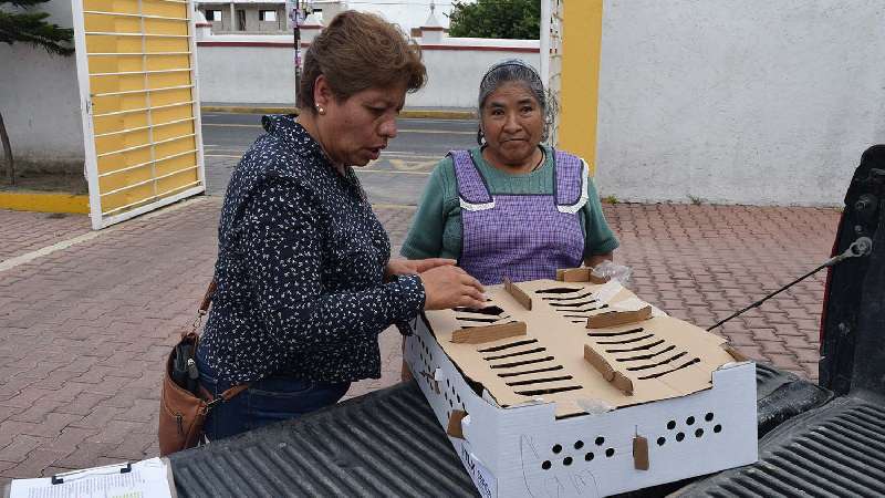 Entrega DIF Municipal aves de traspatio a pobladores Xicohtzinco