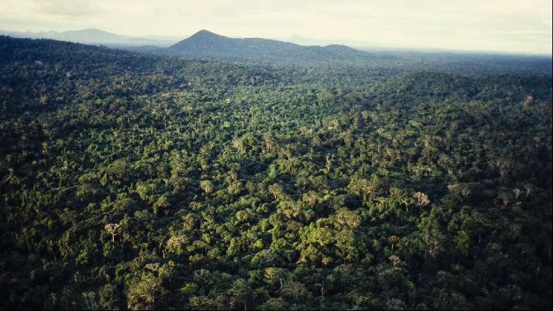 Política de Bolsonaro hace peligrar el millonario Fondo Amazonia 
