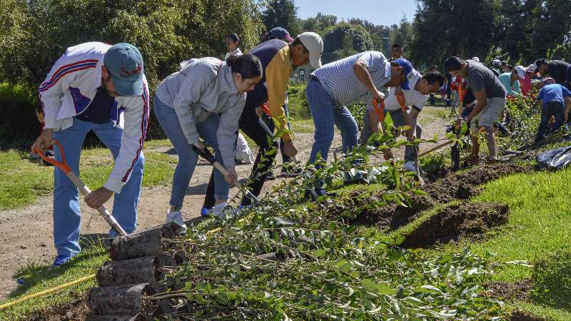 Registra programa estatal de reforestación 85 % de avance: CGE