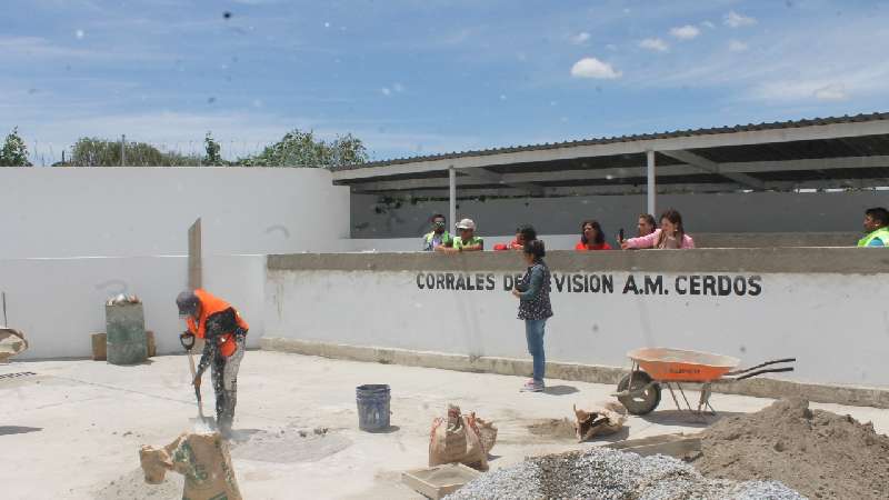 Supervisa Anabell Ávalos remodelación de Rastro Municipal 