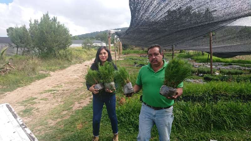 Impulsan en la capital acciones para cuidado del medio ambiente