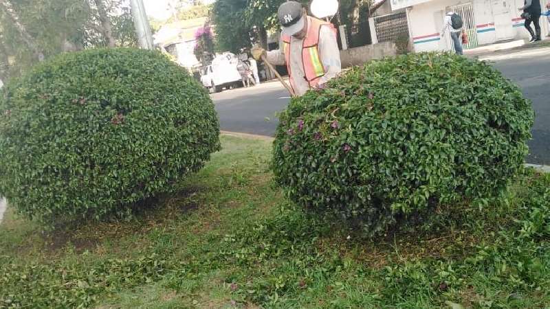 Permanecen programas de limpieza en la capital