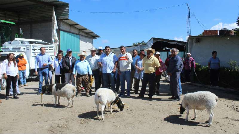 Tocatlán entrego paquetes de ovinos 