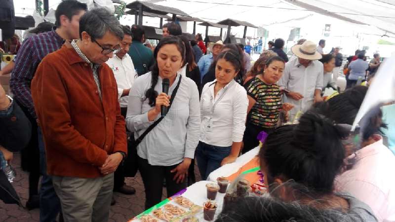 Participa Xicohtzinco en la Feria de Agricultura Familiar 