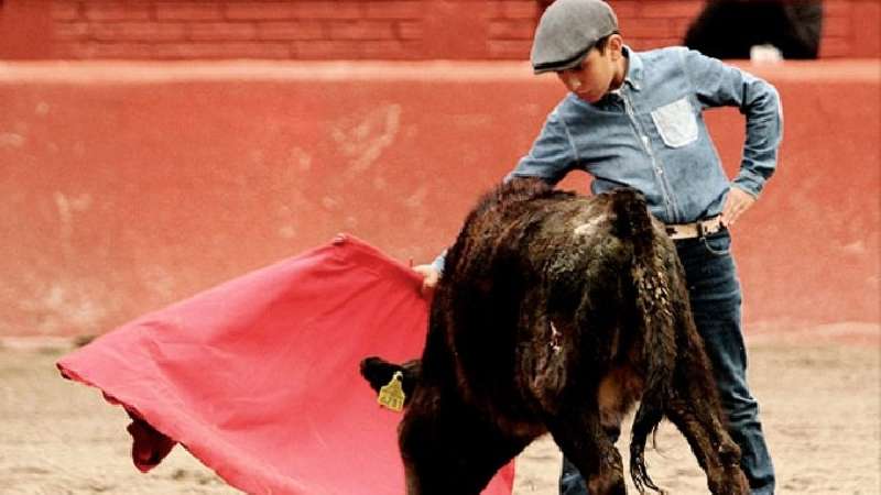 Inician tientas públicas en Tlaxcala Feria 2019