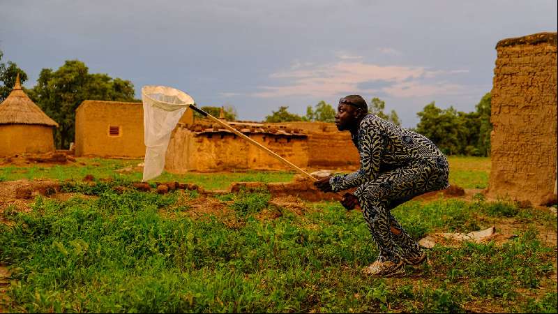 El pueblo africano que modificará los mosquitos genéticamente