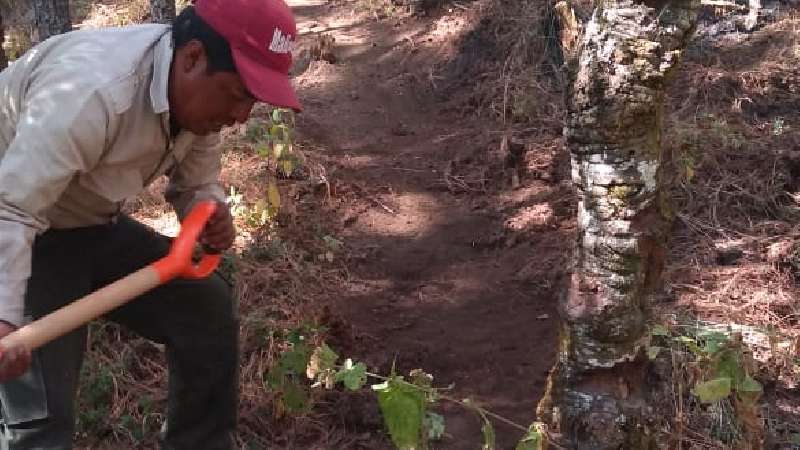 Atienden brigadistas incendio en el parque nacional Malinche