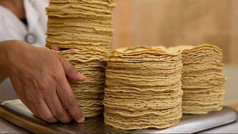 Comienza a incrementar costo de la tortilla