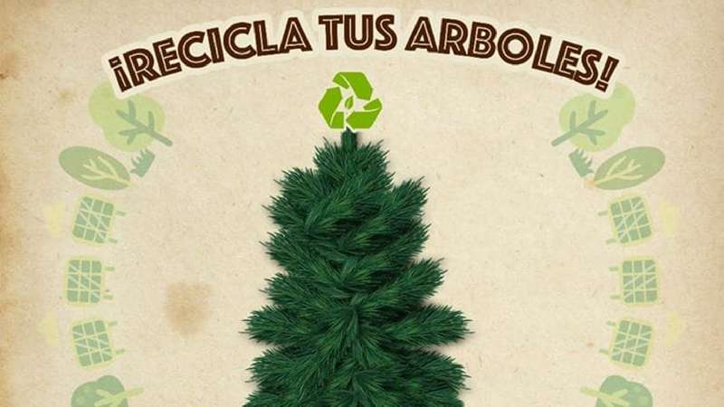Invita CGE a la población a reciclar sus árboles navideños