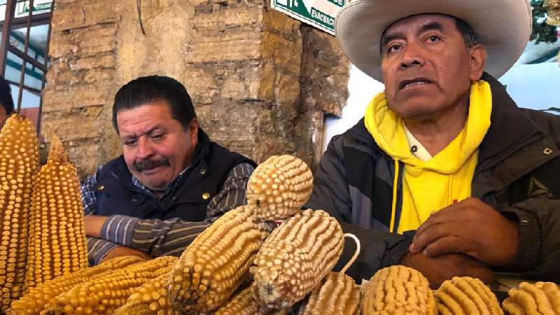 Que fertilizante no se quede como mera promesa: CAP