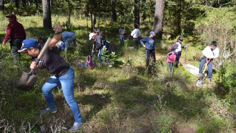 Entregará CGE 200 mil árboles ornamentales con el programa 