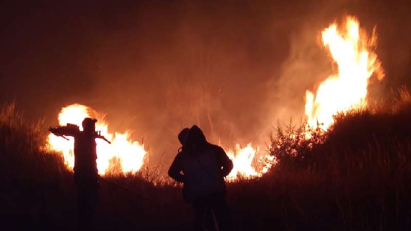 Se unen 4 municipios para controlar fuego en zona boscosa, tardó 7 ho...