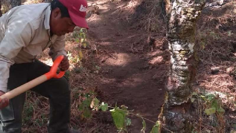 Atención oportuna y trabajo preventivo disminuyen incendios en la Mal...