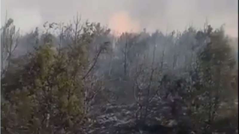 Un incendio sin control devora mil hectáreas de zona boscosa en Láza...