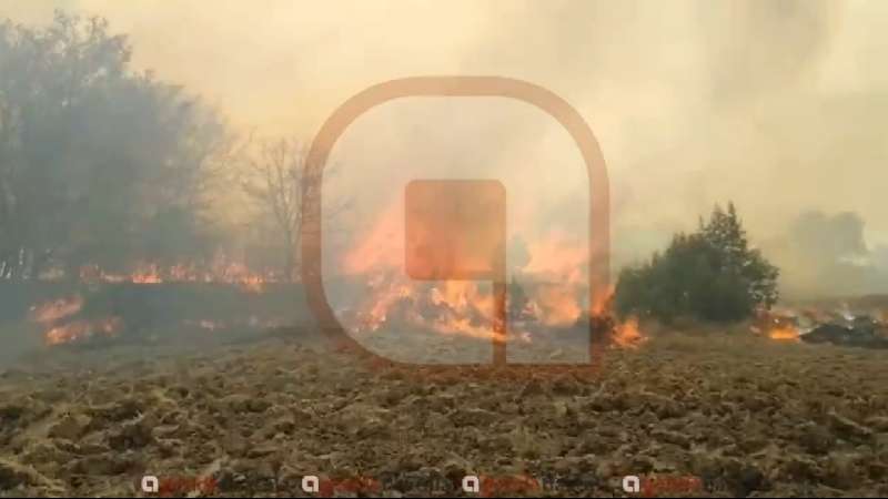 Llamas avanzan en predios de Xaltocan y Tecopilco, pese a esfuerzos de...