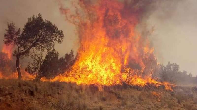 Tlaxcala arde, en Lázaro Cárdenas también se reactiva incendio y ve...
