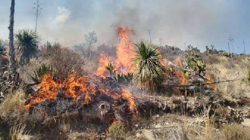 Incendios amenazan a población de Terrenate, piden ayuda 