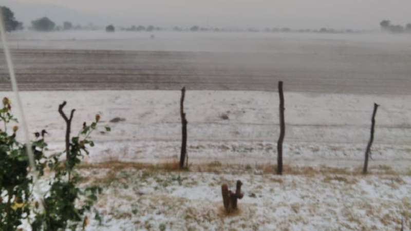 Atiende Protección Civil de Huamantla daños por paso de tolvanera 