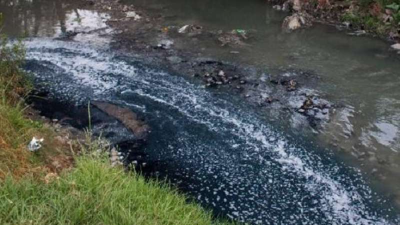 Gobierno, activistas y científicos instalan mesa de diálogo para ate...