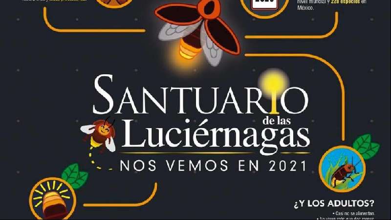 Lanza Secture campaña 