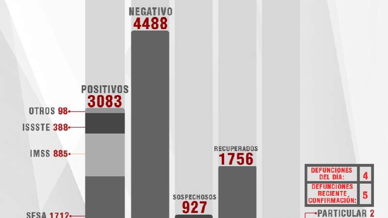 Confirma SESA 51 personas recuperadas, 89 casos positivos y 4 fallecim...