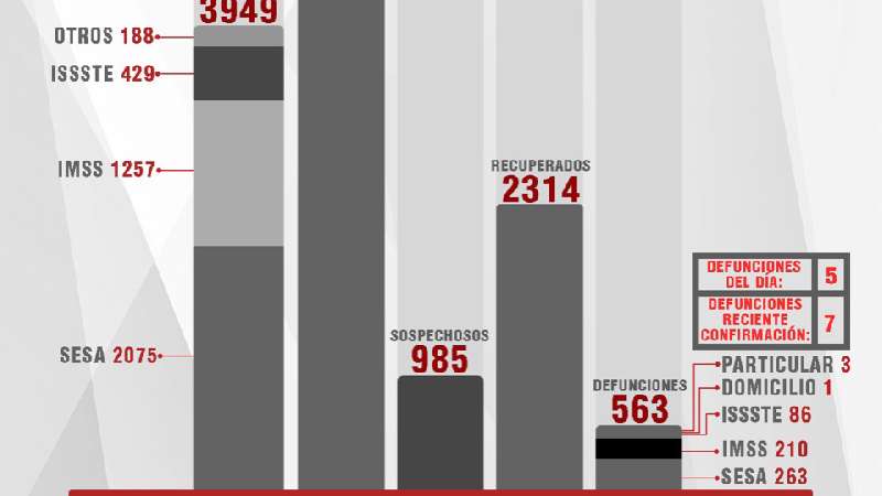 Confirma SESA 31 personas recuperadas, 48 casos positivos y 5 fallecim...