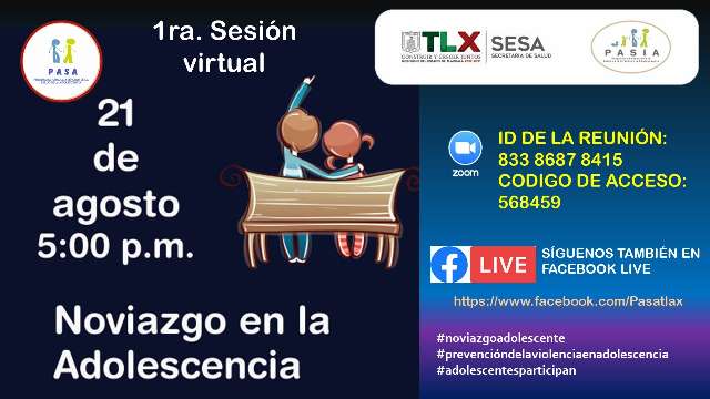 Realizará SESA sesión virtual sobre prevención de la violencia en l...
